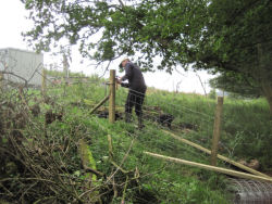 Hincaster Traiway - A safe place to walk, cycle, horse ride in Cumbria