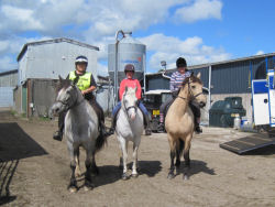 Hincaster Traiway - A safe place to walk, cycle, horse ride in Cumbria