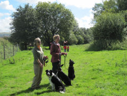 Hincaster Traiway - A safe place to walk, cycle, horse ride in Cumbria