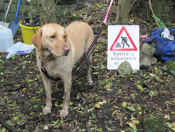 Hincaster Traiway - A safe place to walk, cycle, horse ride in Cumbria