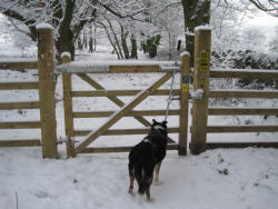 Hincaster Traiway - A safe place to walk, cycle, horse ride in Cumbria
