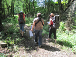 Hincaster Traiway - A safe place to walk, cycle, horse ride in Cumbria