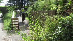 Hincaster Traiway - A safe place to walk, cycle, horse ride in Cumbria