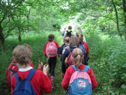 Hincaster Traiway - A safe place to walk, cycle, horse ride in Cumbria