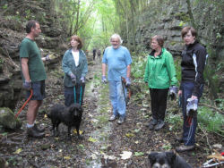 Hincaster Traiway - A safe place to walk, cycle, horse ride in Cumbria